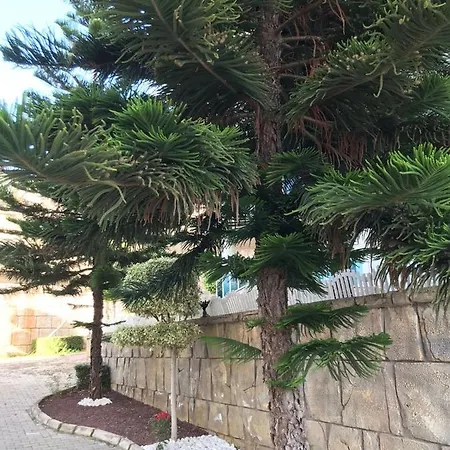 Appartement в алании на берегу клеопатры Alanya